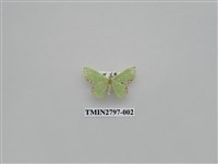 藏品(尺蛾377)的圖片